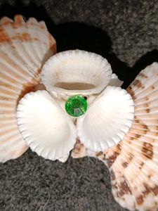Real(Original) Seashell Hair Clip with Green Gem