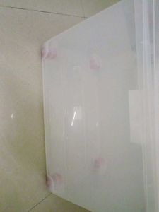Clear Storage Bin with Assorted Contents