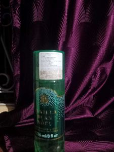 Bath &amp; Body Works Vanilla Bean Noel Mist