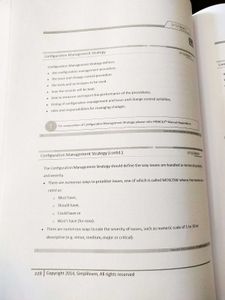 Prince 2