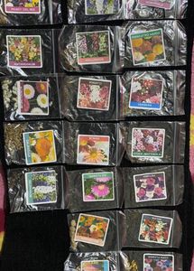 Pack Of 12 Different Plants Seeds