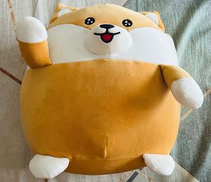 Miniso Plush Teddy-ultra soft