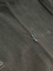 Men's Olive Green Polo Shirt