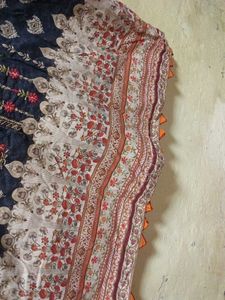 Elegant zari  Embroidered Kurta