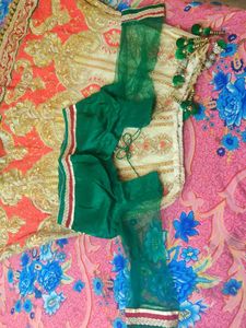 Embroidered Lehenga choli