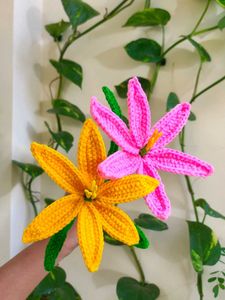 Handmade Crochet Flower Set