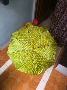 umbrella beautiful green color