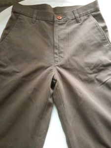 Men's Casual brown Pants