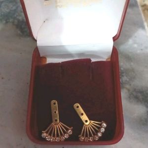 Elegant Fan Earrings