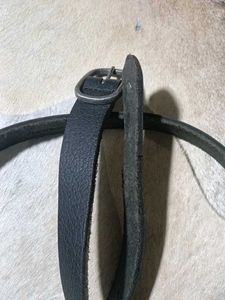 Fastrack OG Surplus Belt For Women's