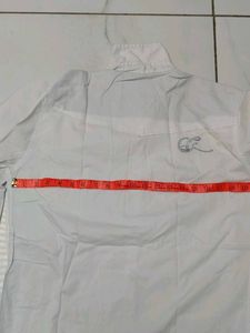 Mens White Shirt