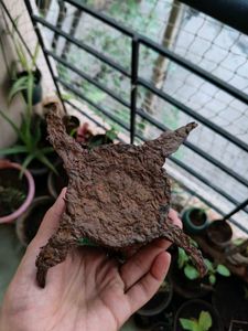 Organic Tree Bark Pen Holder 💚