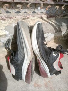 Stylish Knit Sneakers