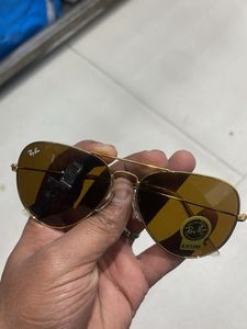 premium shad  qualit
