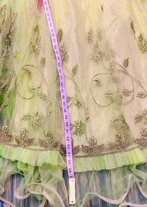 Stunning Green Embroidered Gaon Set