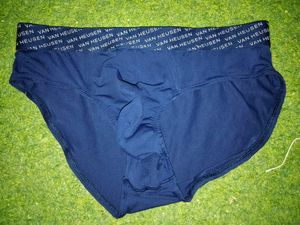 Van Heusen Men's Briefs