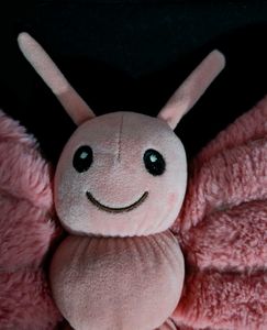 Butterfly Soft Plush Pillow Toy 🩷