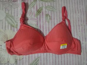regular padded Pink Everyday Bra  32B