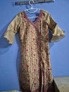 Embroidered Ethenic Dress