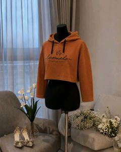 Burnt Orange Crop Hoodie 🍂