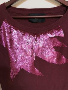 Sequin Embellished priwinter top