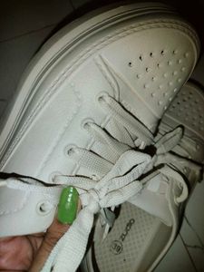 White Zudio Sneakers
