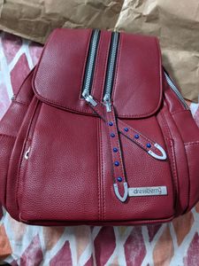 FIXED Price --Dressberry Big Red Backpack