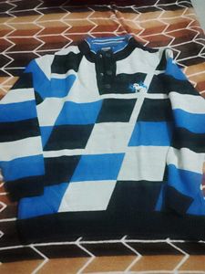 Sweater Full Sleeve L Size Good Condition
