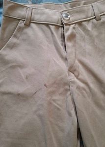 Beige Formal Pants | Essential trouser