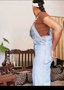 Light Wash Denim Overalls