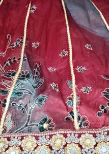 Beautifully Embellished Ethnic Skirt/lehanga