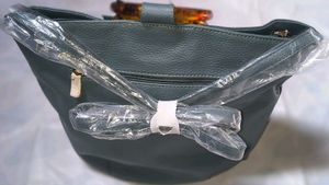 Caprese Womens Bag