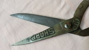 Scissor Now Not Working.