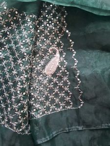 Never Used Organza Elegant Sequin Work Saree