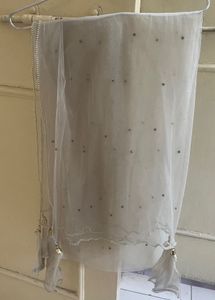 Elegant Embellished Dupatta