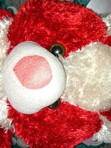 Adorable Red Teddy Bear with Heart