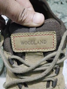 Woodland Shoes