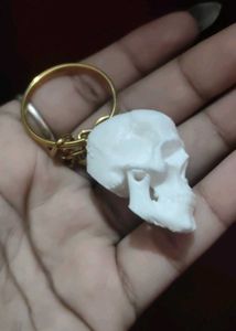 Skull Keychain Set