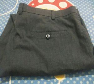 Brand New Raymond Pant Original