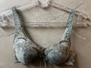 Floral Embroidered Underwire Padded Bra