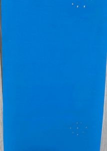 Beautiful Blue Embellished Saree