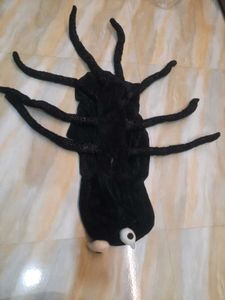Spider Pet Costume for Halloween