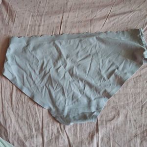 Danskin Seamless Briefs