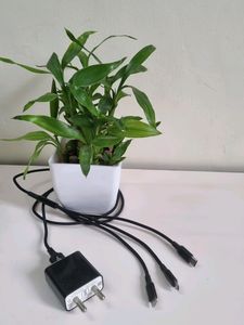 Multicable Charger With Adapter