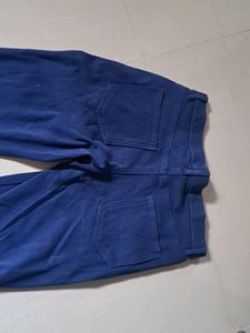 Jeggins