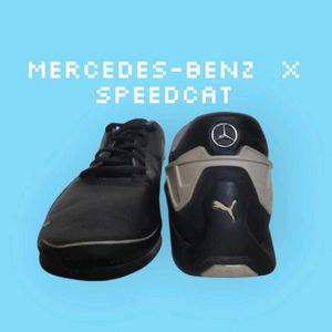 Puma Mercedes AMG Petronas F1 Drift Cat
