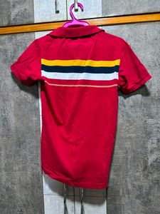 Lacoste Red Striped Polo shirt 1st copy