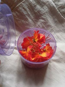 Floral Hair Pins - Set of 10 Accents