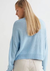 H&amp;M Women Blue Solid Acrylic Jumper