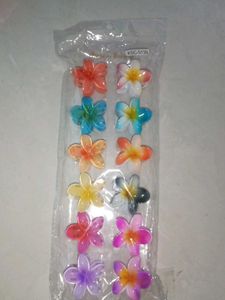 Cute Flower Hair Clips (Set of 12)